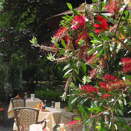 Landidyll Wilminks Parkhotel Neuenkirchen  Zewnętrze zdjęcie