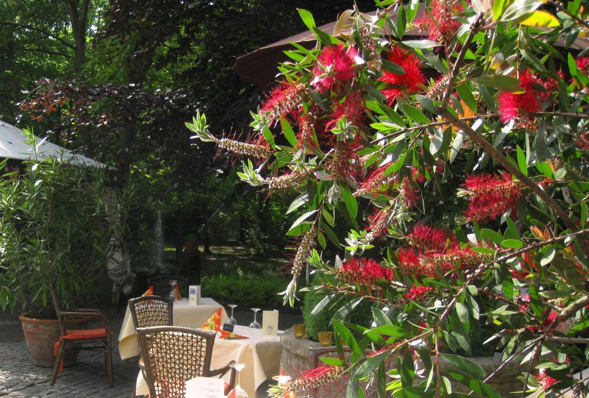 Landidyll Wilminks Parkhotel Neuenkirchen  Zewnętrze zdjęcie